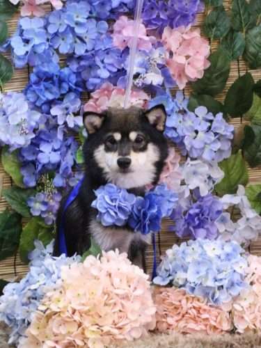 20250628むさしくん